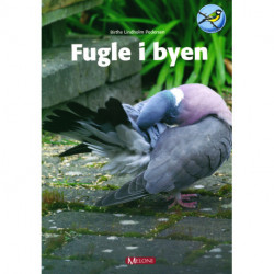 Fugle i byen