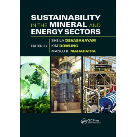 Sustainability in the Mineral and Energy Sectors