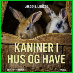 Kaniner i hus og have