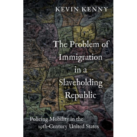 The Problem of Immigration in a Slaveholding Republic: Policing Mobility in the Nineteenth-Century United States