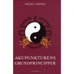 Akupunkturens grundprincipper