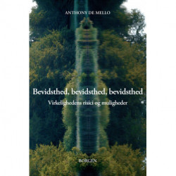 Bevidsthed, bevidsthed, bevidsthed: Virkelighedens risici og muligheder