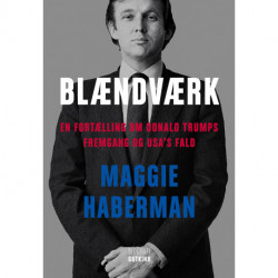 Blændværk - En fortælling om Donald Trumps fremgang og USA's fald