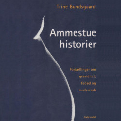 Ammestuehistorier: Fortællinger om graviditet, fødsel og moderskab