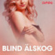 Blind älskog – erotisk novell