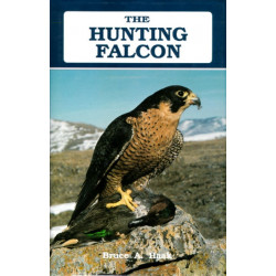 The Hunting Falcon