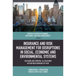 Insurance and Risk Management for Disruptions in Social, Economic and Environmental Systems: Decision and Control Allocations within New Domains of Risk