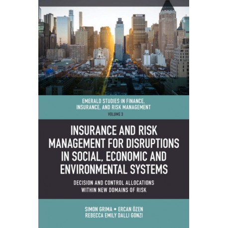 Insurance and Risk Management for Disruptions in Social, Economic and Environmental Systems: Decision and Control Allocations within New Domains of Risk