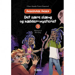 Det sære slæng og kælder-mysteriet