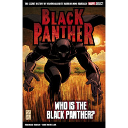 Marvel Select Black Panther: Who is The Black Panther?