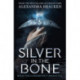 Silver in the Bone: Book 1: Deliciously dark romance from the NYT bestselling author of Lore