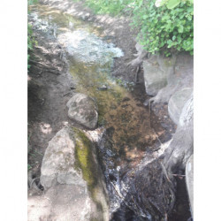 Lær om kost, massage på zoner og punkter: Til privat brug