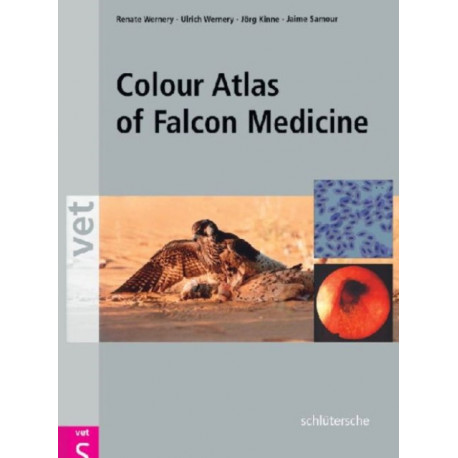 Colour Atlas of Falcon Medicine