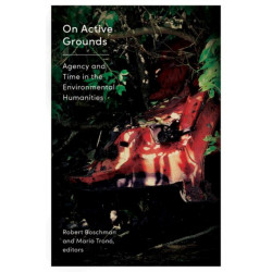 On Active Grounds: Agency and Time in the Environmental Humanities
