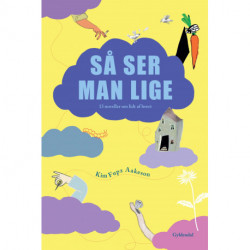 Så ser man lige: 13 noveller om lidt af hvert