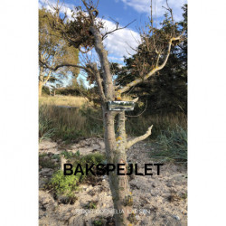 Bakspejlet