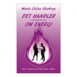 Det handler i virkeligheden kun om energi: Inkl. et nyt kapitel om at bruge teorien i praksis
