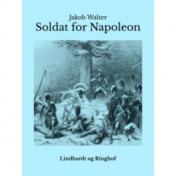 Soldat for Napoleon