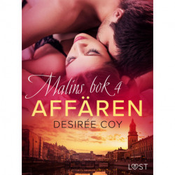 Affären - Malins bok 4