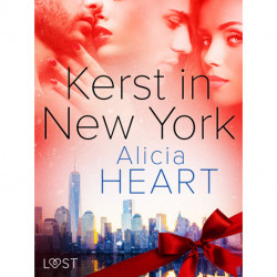 Kerst in New York - erotische verhaal