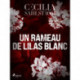Un rameau de lilas blanc