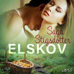 Elskov – erotisk novelle
