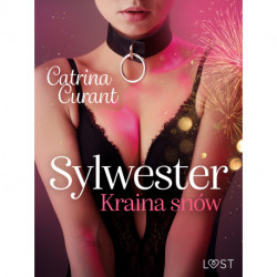 Sylwester: Kraina snów – opowiadanie erotyczne BDSM