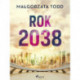Rok 2038