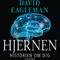 Hjernen: Historien om dig