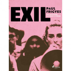 EXIL : sju aktivister. Sju öden i Sverige