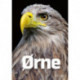Ørne