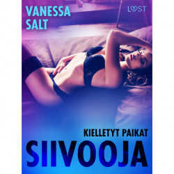 Kielletyt paikat: Siivooja - eroottinen novelli