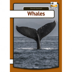 Whales