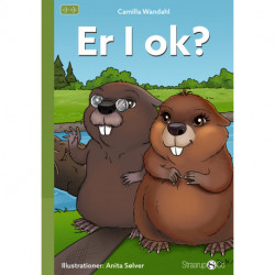 Er I ok?