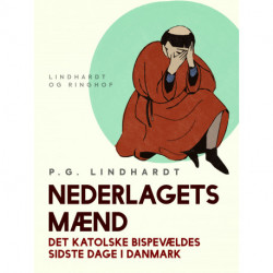 Nederlagets mænd. Det katolske bispevældes sidste dage i Danmark