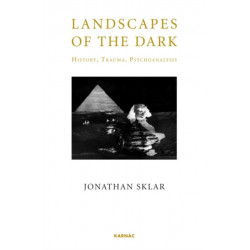 Landscapes of the Dark: History, Trauma, Psychoanalysis
