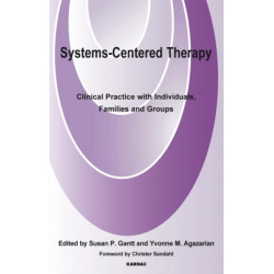 Systems-Centered Therapy: Clinical Practice with Individuals, Families and Groups