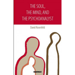 The Soul, the Mind, and the Psychoanalyst: The Creation of the Psychoanalytic Setting in Patients with Psychotic Aspects