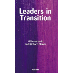 Leaders in Transition: The Tensions at Work as New Leaders Take Charge