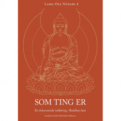 Som ting er: En tidssvarende indføring i Buddhas lære