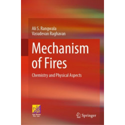 Mechanism of Fires: Chemistry and Physical Aspects