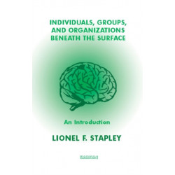 Individuals, Groups and Organizations Beneath the Surface: An Introduction