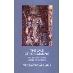 The Vale of Soulmaking: The Post-Kleinian Model of the Mind