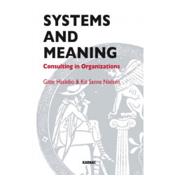 Systems and Meaning: Consulting in Organizations