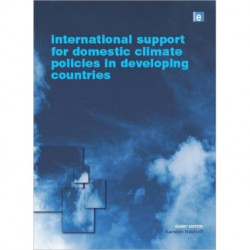 International Support for Domestic Climate Policies in Developing Countries