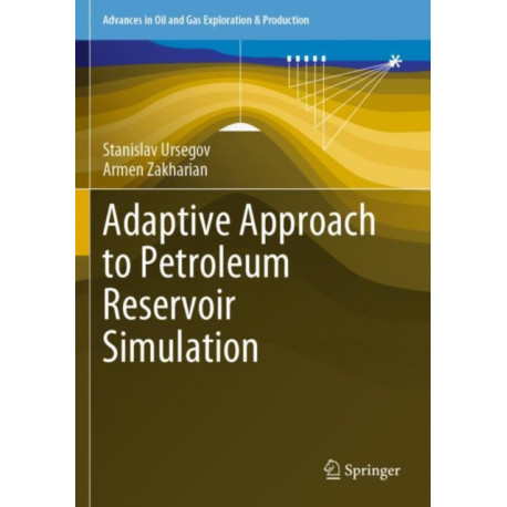 Adaptive Approach to Petroleum Reservoir Simulation