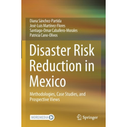 Disaster Risk Reduction in Mexico: Methodologies, Case Studies, and Prospective Views