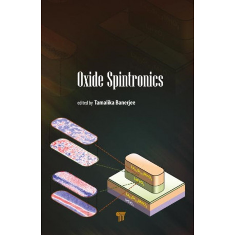 Oxide Spintronics