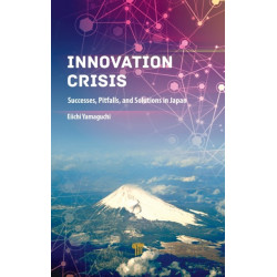 Innovation Crisis: Successes, Pitfalls, and Solutions in Japan