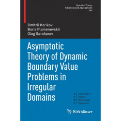Asymptotic Theory of Dynamic Boundary Value Problems in Irregular Domains